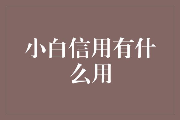 小白信用有什么用