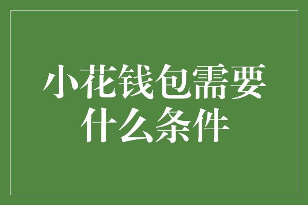 小花钱包需要什么条件