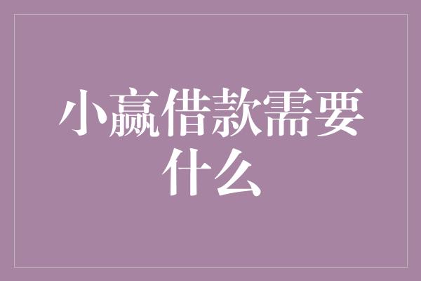 小赢借款需要什么