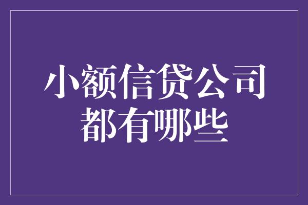 小额信贷公司都有哪些