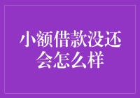 小额借款若未能按时偿还：可能的法律后果与个人信用的影响