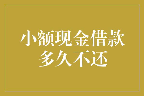 小额现金借款多久不还