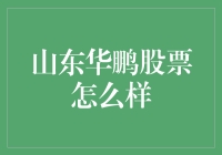 山东华鹏股票分析：潜力无限还是风险重重？