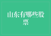 山东的股市风云：解读齐鲁大地上的上市公司