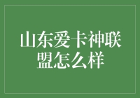 山东爱卡神联盟：你见过一群汽车自驾游爱好者在花生油里加油吗？