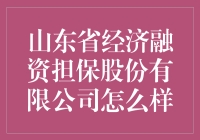 山东省经济融资担保股份有限公司：稳健前行的融资担保行业领军者