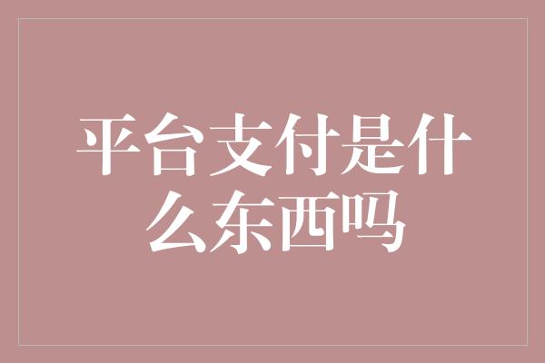 平台支付是什么东西吗