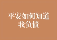 平安如何运用算法模型与大数据技术，精准判断您的负债情况？