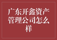 广东开鑫资产管理公司的运营模式与市场竞争力解析