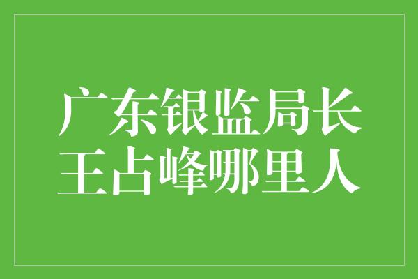 广东银监局长王占峰哪里人