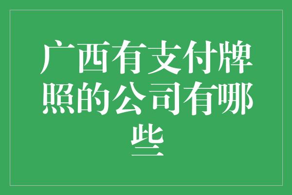 广西有支付牌照的公司有哪些