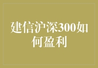 建信沪深300如何盈利？：探寻指数基金的投资奥秘