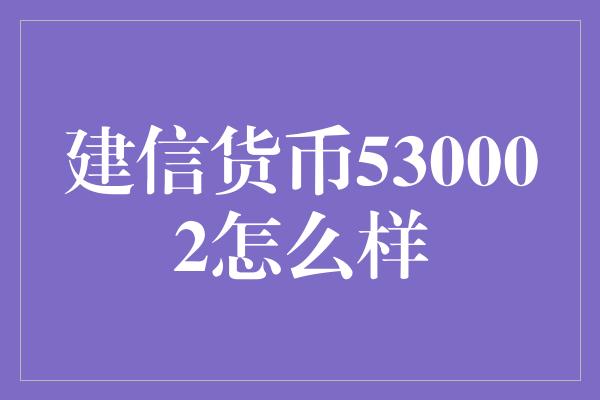 建信货币530002怎么样