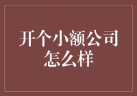 开设小额公司：理论与实践