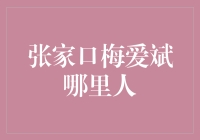 张家口梅爱斌：一个有故事的城市与它的神秘居民