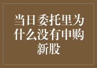 日常交易中为何不见申购新股选项——解析新股申购机制与流程