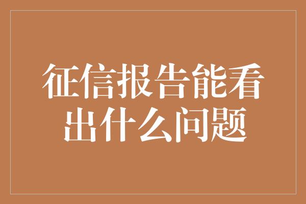 征信报告能看出什么问题