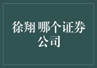 徐翔：资本市场的风云人物与证券公司的关联