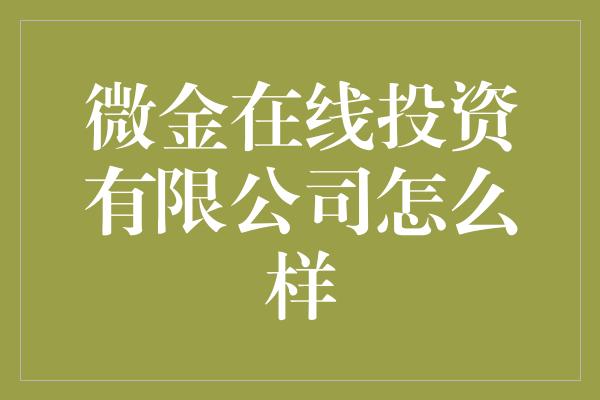 微金在线投资有限公司怎么样