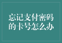 忘记支付密码的卡号怎么办：替代措施与预防手段