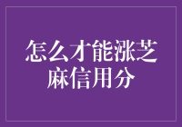 如何有效提升您的芝麻信用分：实用攻略