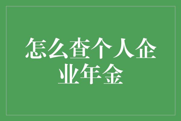 怎么查个人企业年金