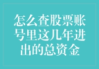 如何查股票账号里这几年进出的总资金