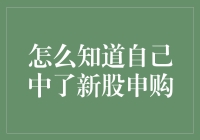 新股申购中签查询方法与技巧全面解析