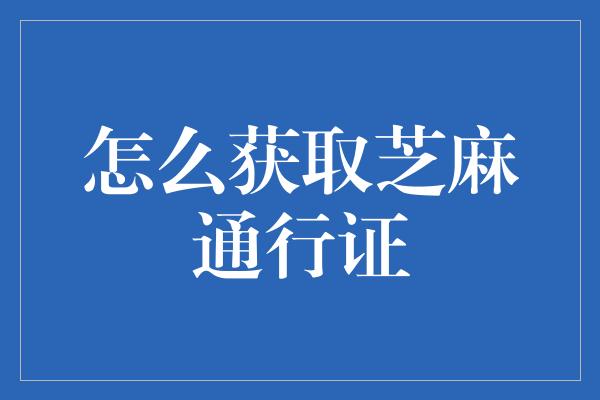 怎么获取芝麻通行证