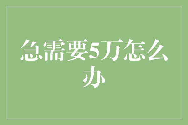 急需要5万怎么办