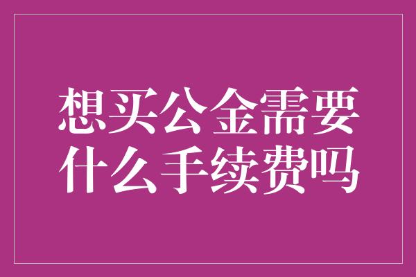 想买公金需要什么手续费吗