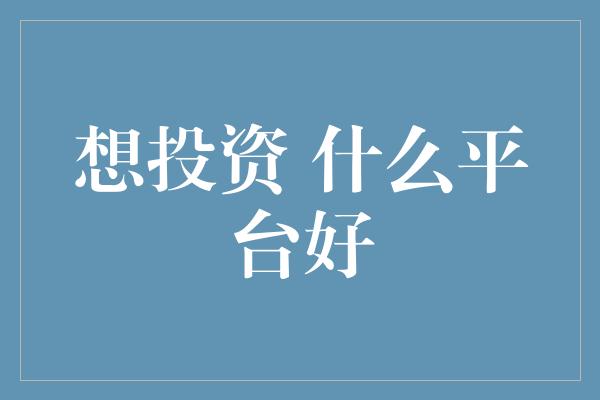 想投资 什么平台好