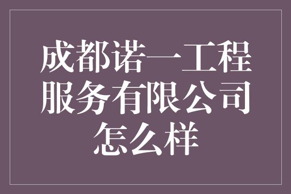 成都诺一工程服务有限公司怎么样