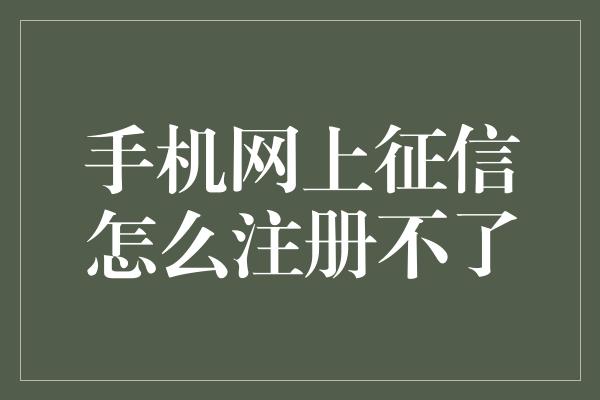 手机网上征信怎么注册不了