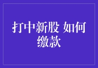 打中新股 如何缴款：步步为营，轻松完成