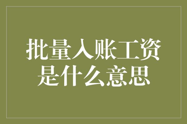 批量入账工资是什么意思