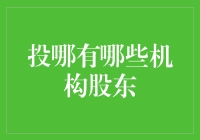 投哪的机构股东解析：探索金融科技平台的资本力量