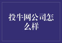 投牛网公司：牛气冲天的互联网创业公司