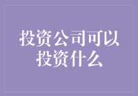 投资公司只能投资钱？