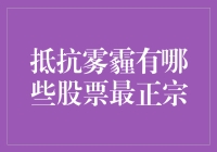 抵抗雾霾：健康呼吸的金融方案