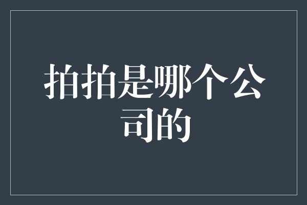 拍拍是哪个公司的