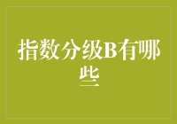 指数分级B有哪些：投资策略与风险解读