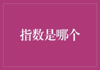 指数真的是哪个？揭秘投资决策的关键指标！