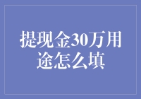 30万现金到手，用什么填？