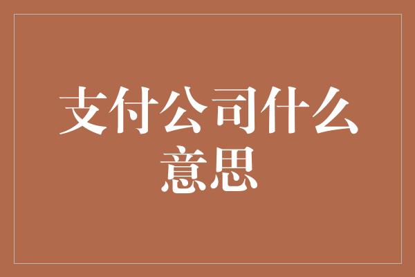 支付公司什么意思