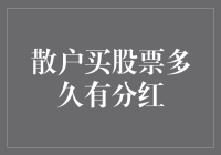 详解散户投资股票后何时能获得分红：时间、策略与影响分析