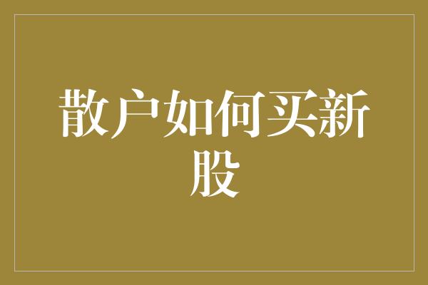 散户如何买新股