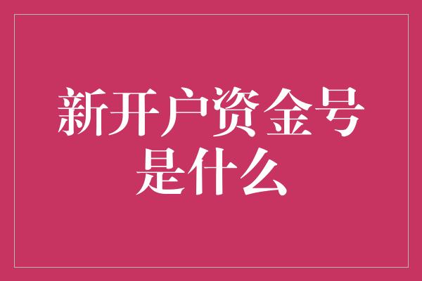 新开户资金号是什么