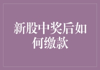 新股中奖后如何缴款：确保资金到位与操作指南