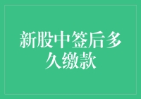 新股中签后缴款流程解析：从摇号到缴款的时间线